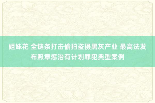 姐妹花 全链条打击偷拍盗摄黑灰产业 最高法发布照章惩治有计划罪犯典型案例