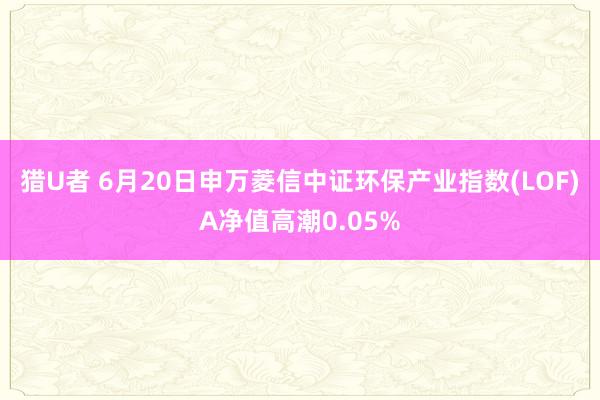 猎U者 6月20日申万菱信中证环保产业指数(LOF)A净值高