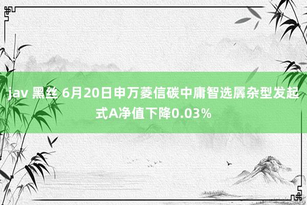 jav 黑丝 6月20日申万菱信碳中庸智选羼杂型发起式A净值下降0.03%