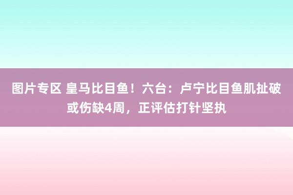   图片专区 皇马比目鱼！六台：卢宁比目鱼肌扯破或伤缺4周，正评估打针坚执
