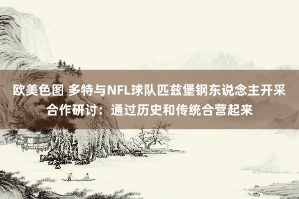  欧美色图 多特与NFL球队匹兹堡钢东说念主开采合作研讨：通过历史和传统合营起来